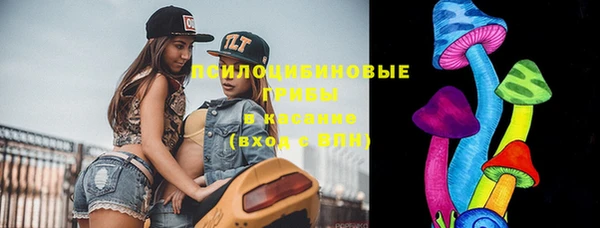 молекула духа Новокубанск