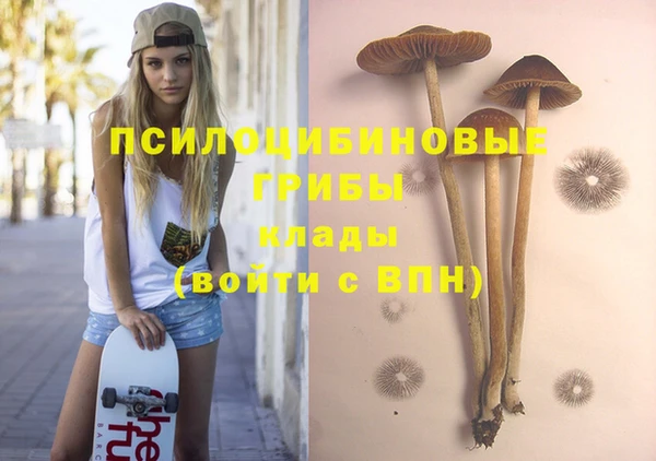 молекула духа Новокубанск