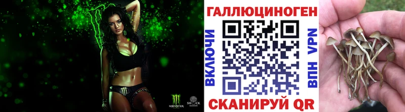 blacksprut ССЫЛКА Павлово Галлюциногенные грибы мицелий