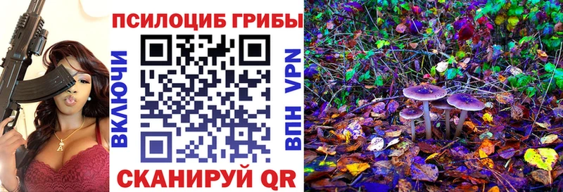 Галлюциногенные грибы ЛСД Павлово