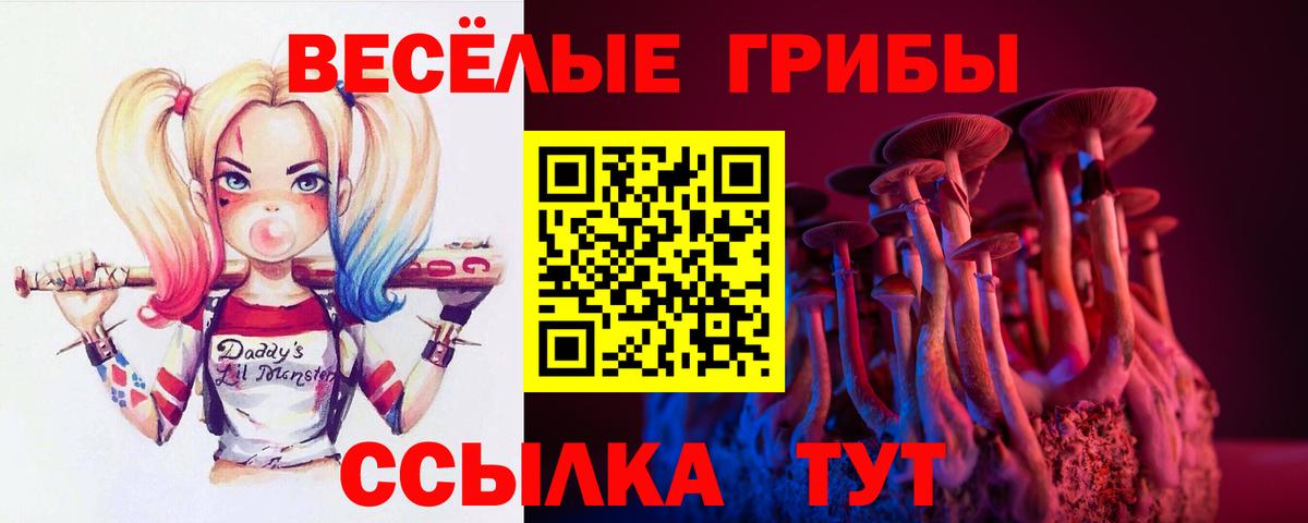 Псилоцибиновые грибы мухоморы Павлово