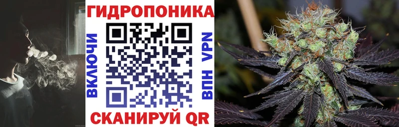 МАРИХУАНА семена  ОМГ ОМГ ссылка  Павлово  сколько стоит 